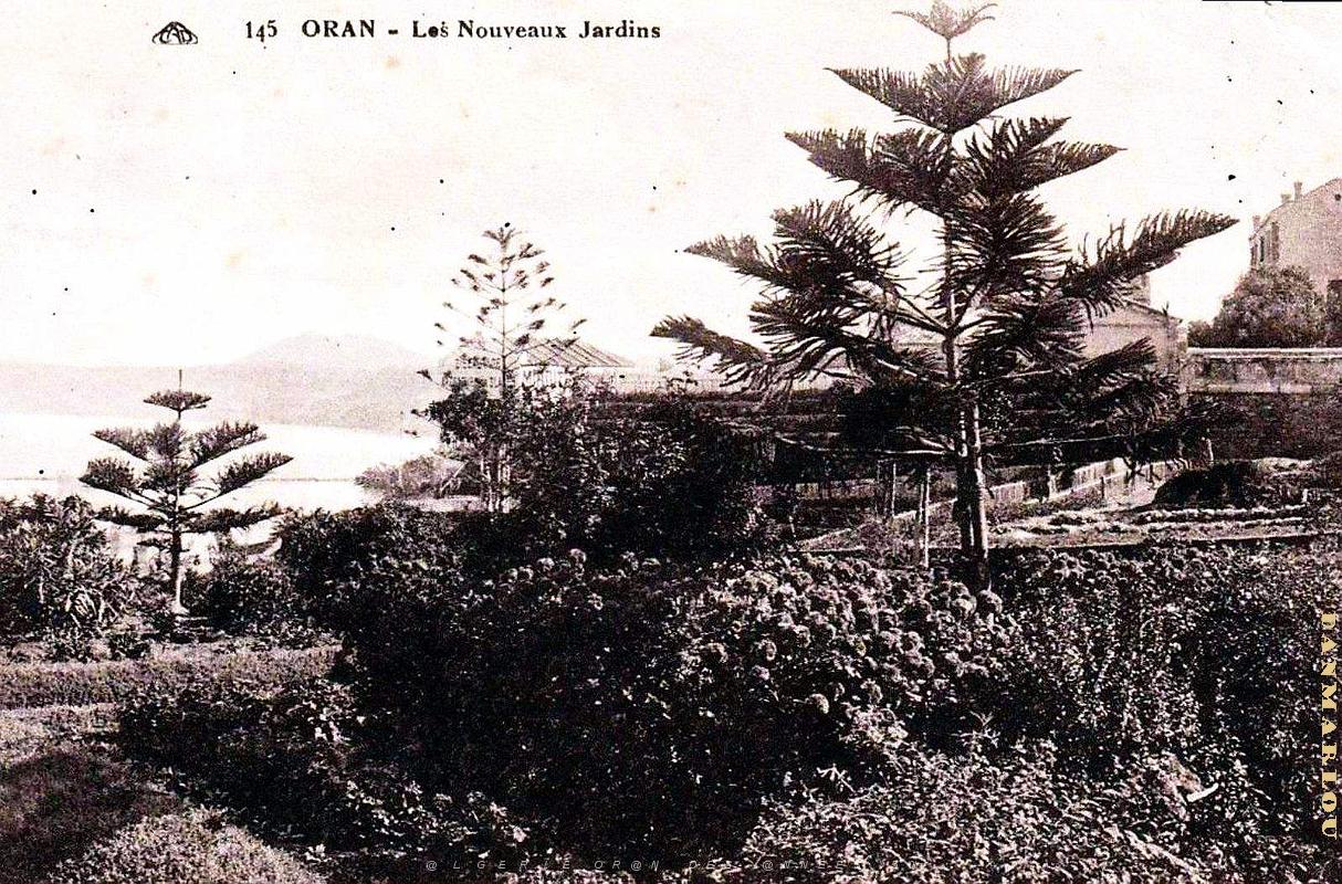Oran - Jardins - Nouveaux.jpg